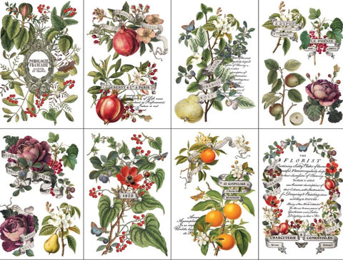 **NEW** Clementine - Transfer - 8 sheets 12"x 8"