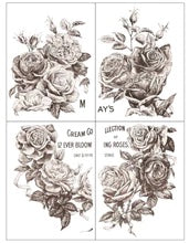 Mays Roses - Transfer - 4 sheets 12"x16"