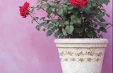 Paint Inlay - Ditzy Bloom