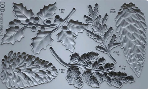 **NEW** Winter Forage - Moulds