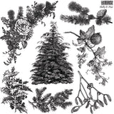 **NEW** Holly & Pine - Stamp