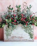 **NEW** Holly & Pine - Stamp