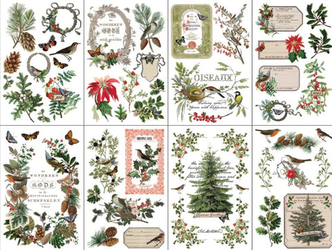 **NEW** Winter Botanist - Transfer - 8 sheets 12"x 8"