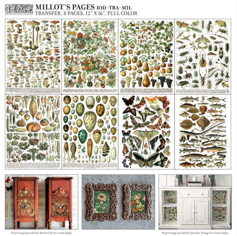 Millot's Pages - Transfer - 4 sheets 12"x16"