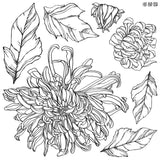 Crysanthemums - Stamp