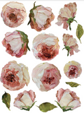 Painterly Florals  - Transfer - 8 sheets 12" x 16"